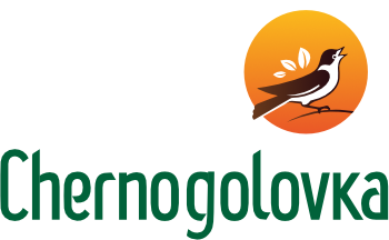 CHERNOGOLOVKA company