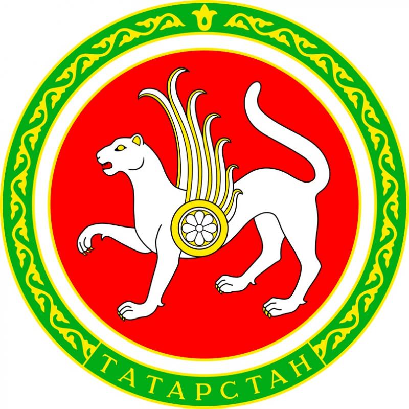 鞑靼斯坦共和国地区政府