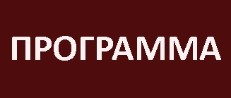 кнопка программа1.jpg