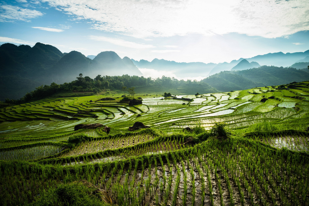 1-Deniz-Vural-Vietnam-19.jpg